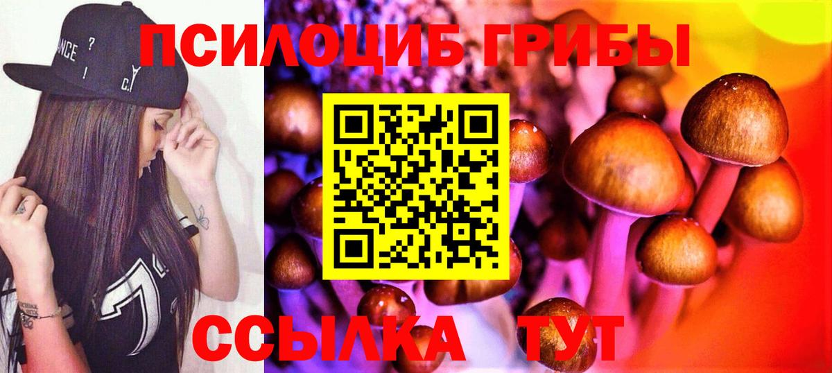Галлюциногенные грибы MAGIC MUSHROOMS  Псилоцибиновые грибы прущие грибы  Всеволожск  Вход с VPN 